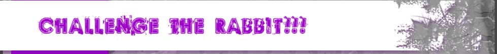 Challenge Rabbit